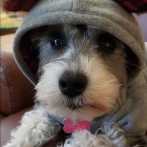 Meet your Posher, Sharon